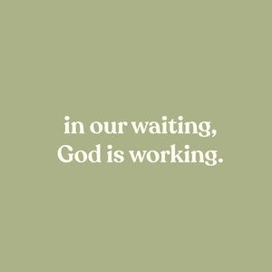 Meet your Posher, Lyv